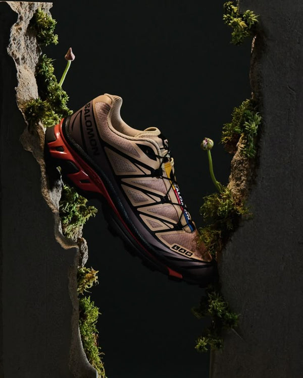 Salomon