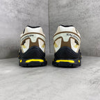 SALOMON XT-QUEST GTX